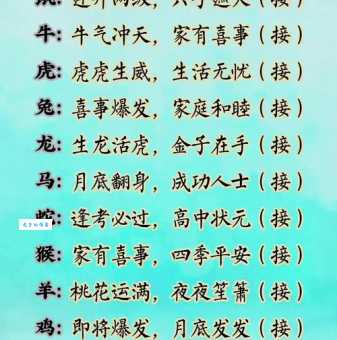 福无十全指什么生肖？详解这句俗语背后的深刻含义