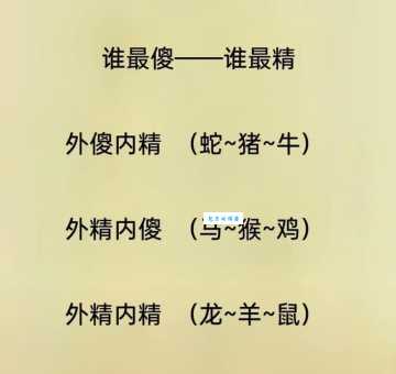 大摇大摆打一最佳生肖的谜底揭晓！猜对的人真厉害！