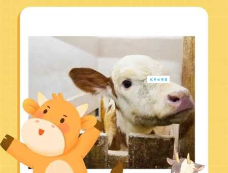 千锤百炼什么生肖是哪个？这个生肖你一定想不到！