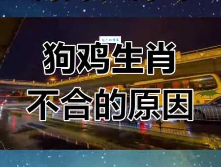 鸡犬相邻指的是什么生肖？听听老一辈人是怎么说的。