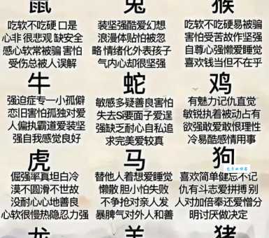一出头地定当强是什么生肖 (看完这篇你就懂了)