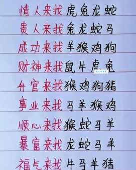 一出头地定当强是什么生肖 (看完这篇你就懂了)