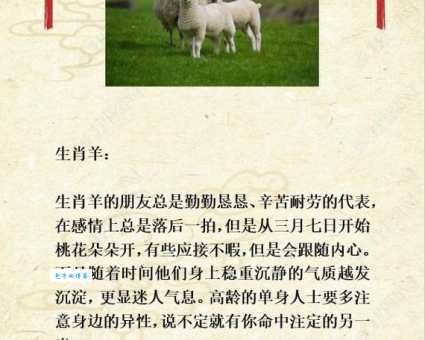 风华绝代打一生肖如何破解？学会这个思路不再迷糊！