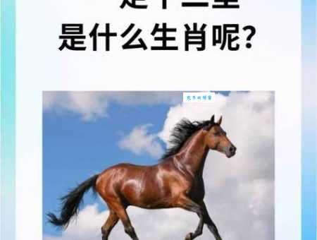 万马奔腾是什么生肖？很多人都猜错的那个生肖是哪一个？