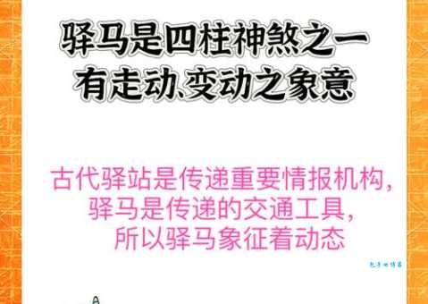 驽马十驾是什么生肖？专家给出最权威最准确的解答！