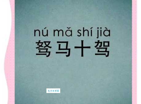 驽马十驾是什么生肖？专家给出最权威最准确的解答！