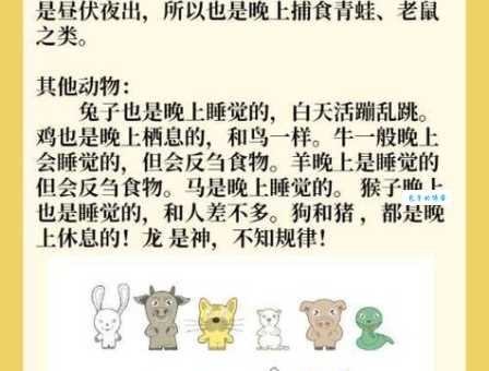 坐吃山空是什么生肖？为什么很多人都猜错了？