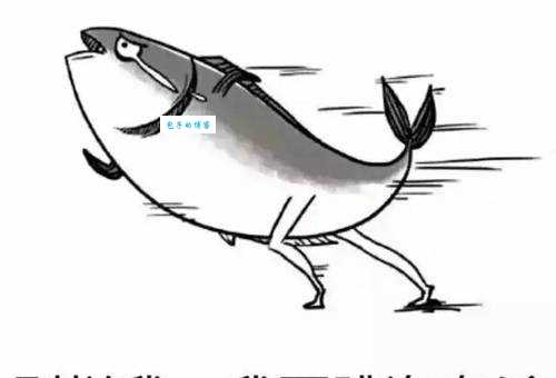 百炼成钢打一个准确生肖不能错！资深玩家教你避开所有陷阱！