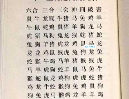 老老实实打一正确生肖的最佳口语化解析，保证让你恍然大悟！