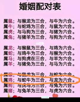 最新大器晚成打一正确生肖解析，你猜对了吗？