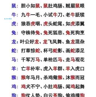 一声春雷震天响是什么生肖?别再瞎猜看这里就明白了!