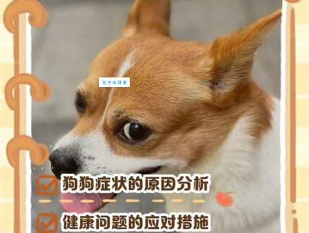 狗血喷头打一准确生肖是什么？正确答案看完你就明白了！