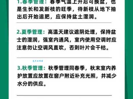 秋霜冬雪打一生肖怎么看最准？内行人都推荐这种方法！