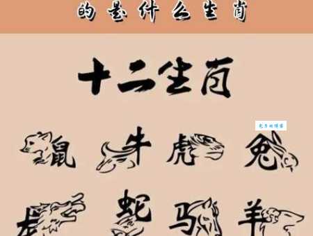 七嘴八舌打一准确生肖怎么猜？大神分享实战技巧！