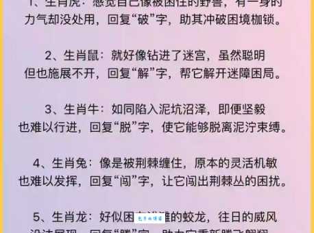 寿命最长的六大生肖有什么特点？快来看看你占了几条！