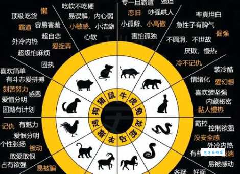 一比高下是什么生肖详解，别再傻傻分不清了！