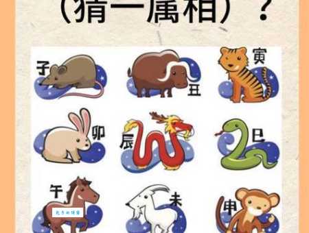 隐隐约约是什么生肖的代称？高手来给你详细解答！