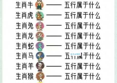 好衣美食是什么生肖？生肖专家3秒钟给你准确答案！