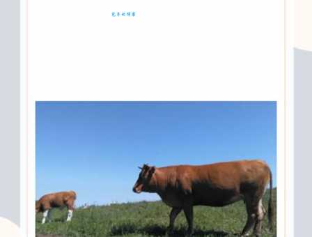 秋高气爽打一个生肖答案是什么？老司机教你快速猜对！