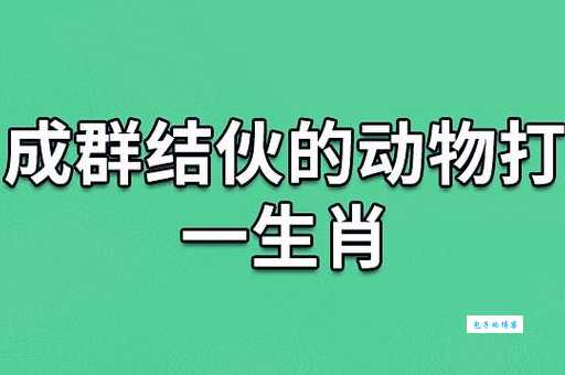 为什么三五成群打一个生肖是这个？看完你就恍然大悟！