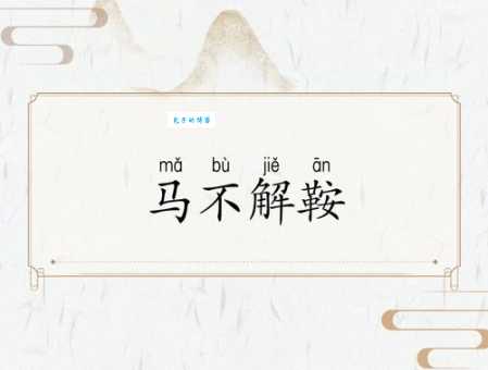 马失前蹄是什么生肖？看懂这个典故你就明白了！