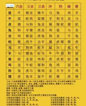 揭秘安分守己的生肖是什么，看完你就明白了！