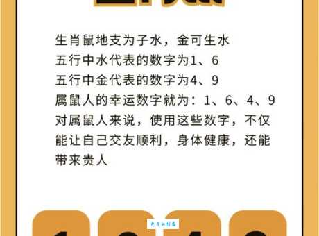 九出十三归是什么生肖？一秒锁定正确生肖！