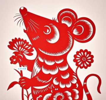 半壁江山是什么生肖？ 资深大师为你揭秘准确答案!