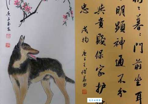 兴风作浪打一精准生肖指什么？（生肖谜语背后的真实含义）