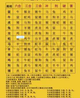 捉贼见赃打一准确生肖看这里！最准确的答案就是它！