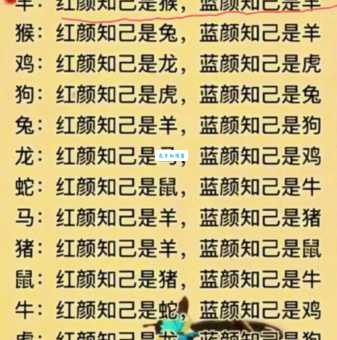 这个“不大不小打一生肖”到底指哪个生肖?高手教你猜对