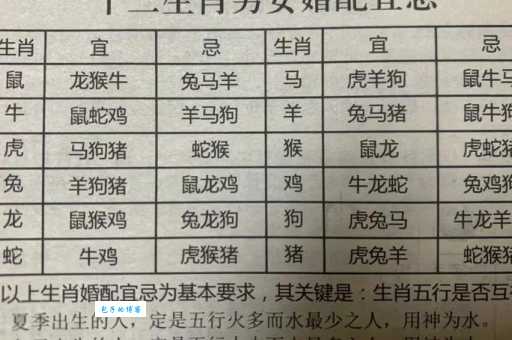 想知道披红挂彩是什么生肖？专家为你详细解读！