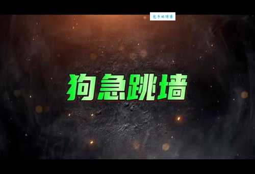 狗急跳墙是什么生肖？答案就在这里告诉你！