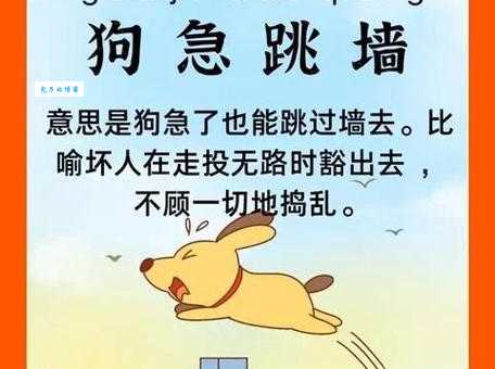 狗急跳墙是什么生肖？答案就在这里告诉你！