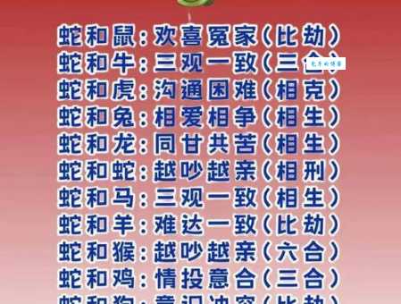 鸳鸯戏水什么生肖怎么看？只需记住这几点秘诀就够了！