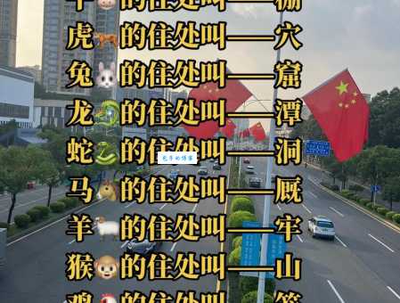 万里挑一打一生肖的玄机在哪？听听行家怎么说！