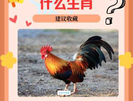 猜一猜煽风点火是什么生肖?背后的真实含义你肯定想知道!