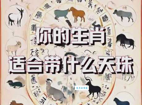 朦朦胧胧是什么生肖？资深行家揭秘真正答案！