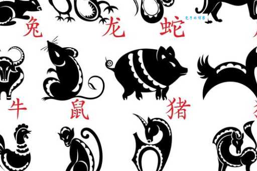 文武双全打一生肖(到底是哪个动物？)