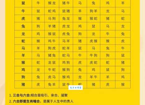 无法无天的动物猜一生肖指哪个？这个生肖今年运势旺不旺！