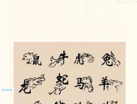 无法无天的动物猜一生肖指哪个？这个生肖今年运势旺不旺！