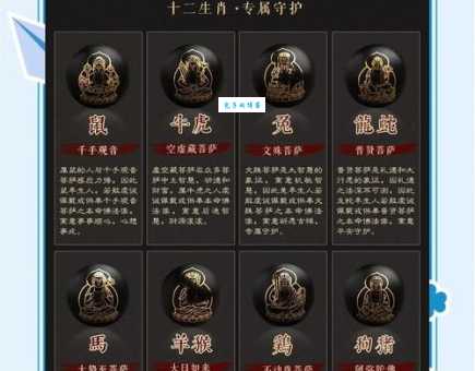 披沙沥金是什么生肖(权威解读生肖的真正含义)