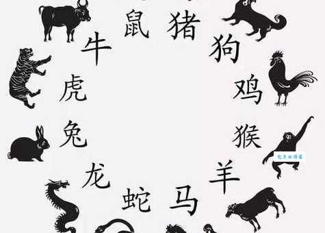 老八辈子打一最佳生肖怎么猜？教你一个诀窍秒出答案！