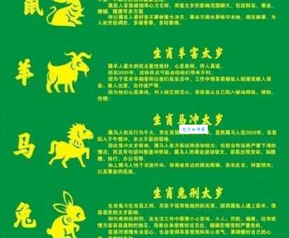 春秋大业代表什么生肖？看完这篇文章你就明白了！