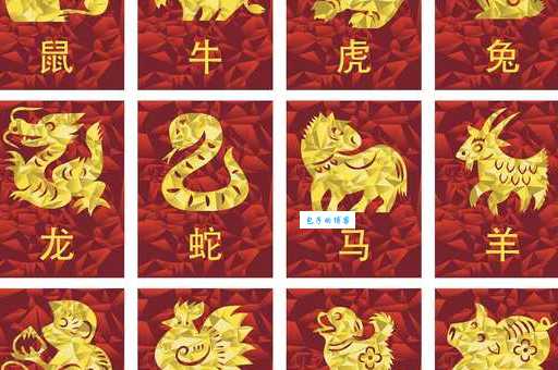 抛头露面打一生肖是哪个？这个生肖最近运气爆棚！