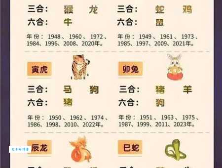 风调雨顺打一生肖指什么动物？高手教你轻松猜对！