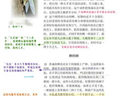 春蛙秋蝉是什么生肖的专属代号？看懂这篇不再猜错