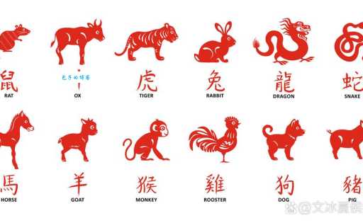 变化多端是什么生肖最符合？猜对这一个就够了