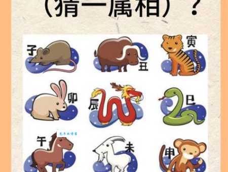 变化多端是什么生肖最符合？猜对这一个就够了