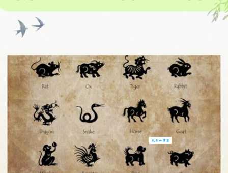 有头有脸是什么生肖？看老祖宗的说法就知道了！